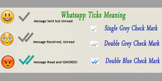 whatsapp tickmark tamil meaning
